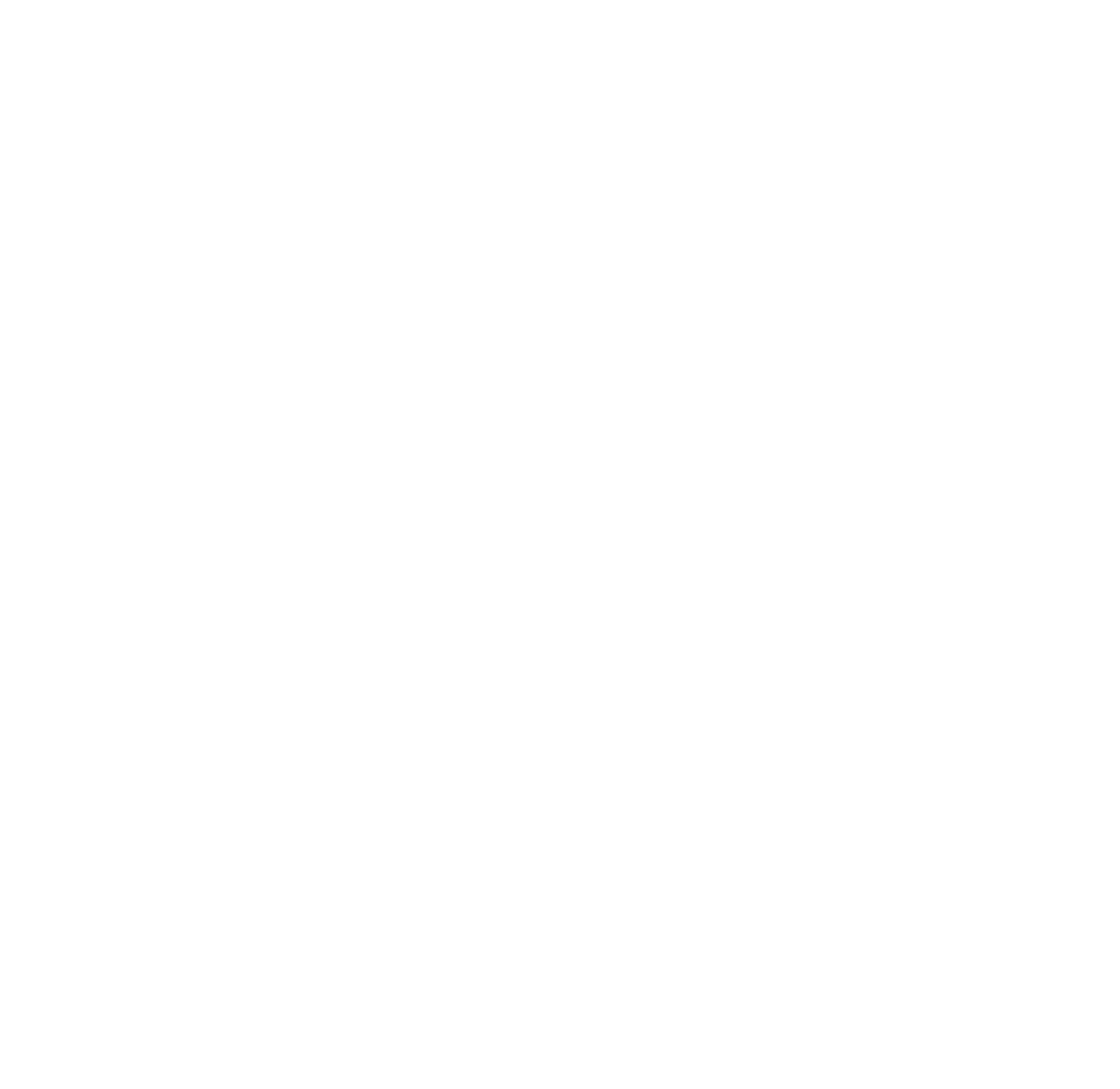 Viking T-Shirt