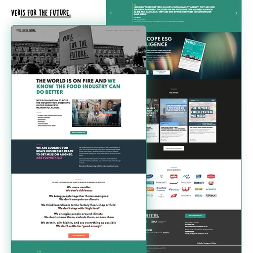 Veris Strategies