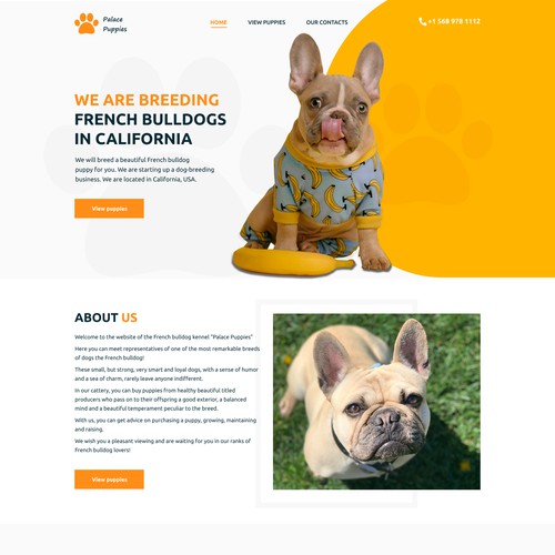 Design concept for the website of the French bulldog kennel