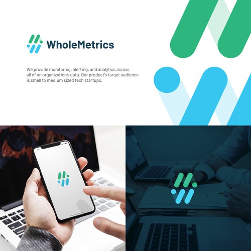 WholeMetrics logo concept