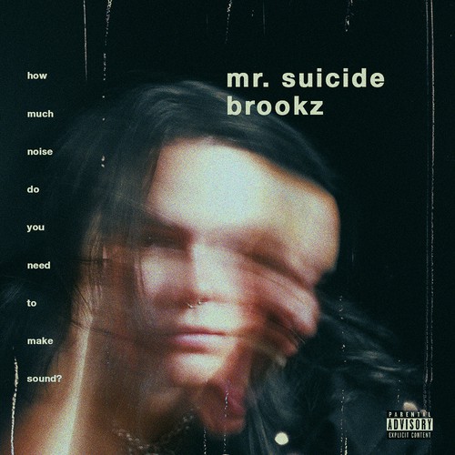 mr. suicide - brookz