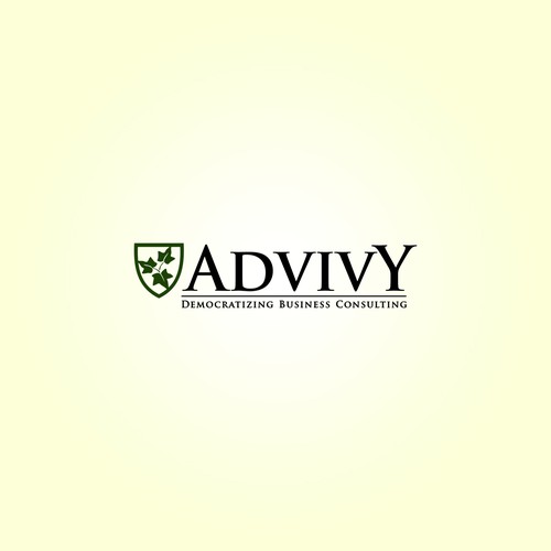 AdvivY Business Consulting