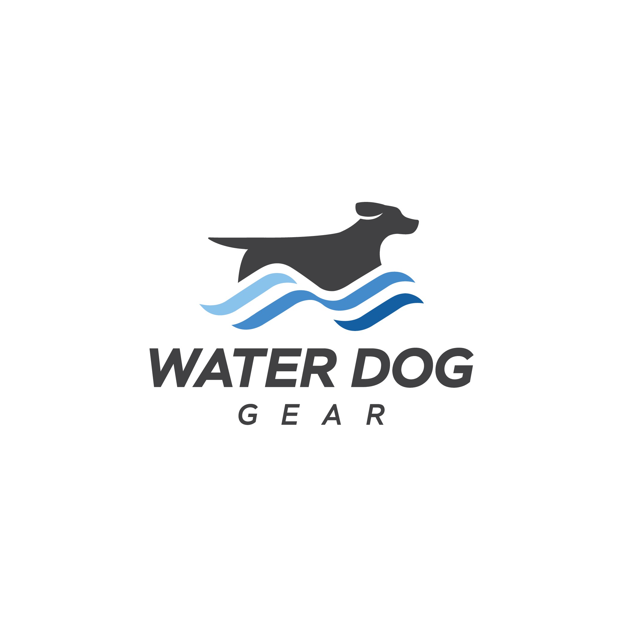 Action Water Dog Splash logo needed for mfg and retailer of active/sporting dog gear