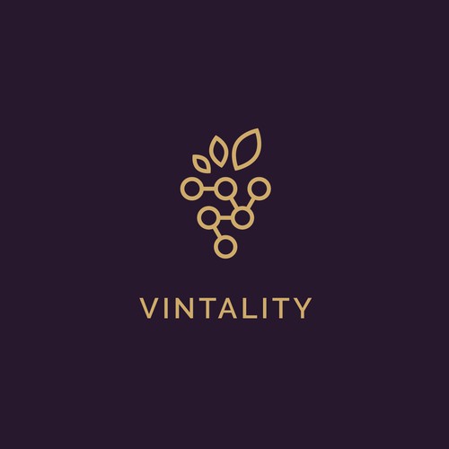 Logo for a Vineyard (wine) & Technology startup