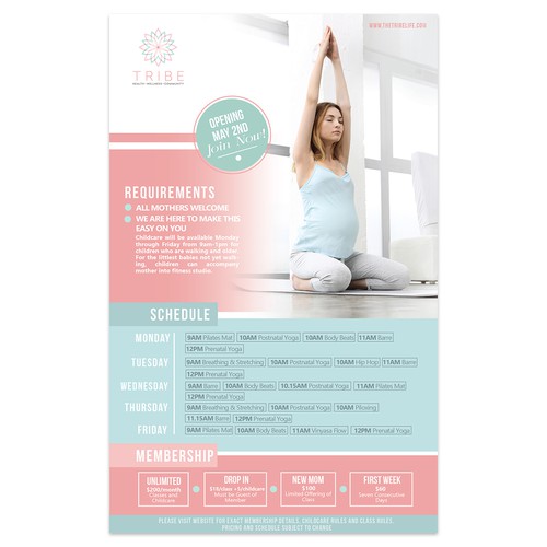 E-Flyer for Wellness Studio