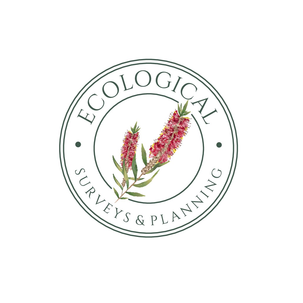 Australian Bottlebrush Logo