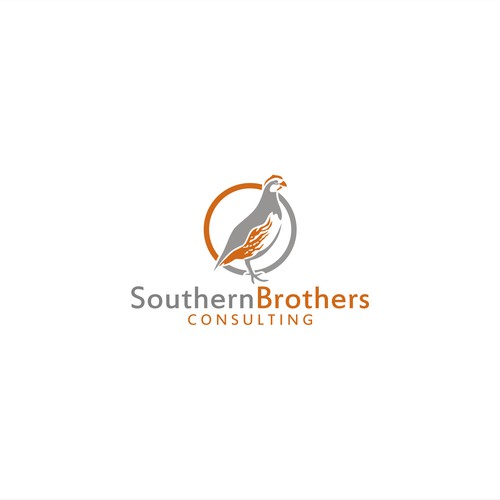 Classic Southern design needed for Georgia consulting firm