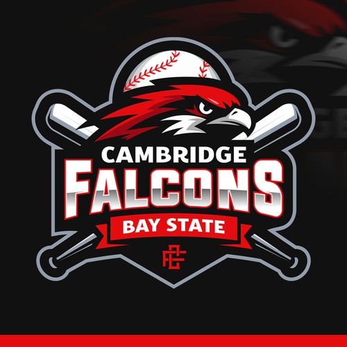 Falcon Baseball Sports Logo