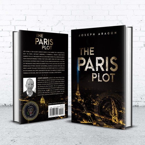 The Paris Plot - a political thriller