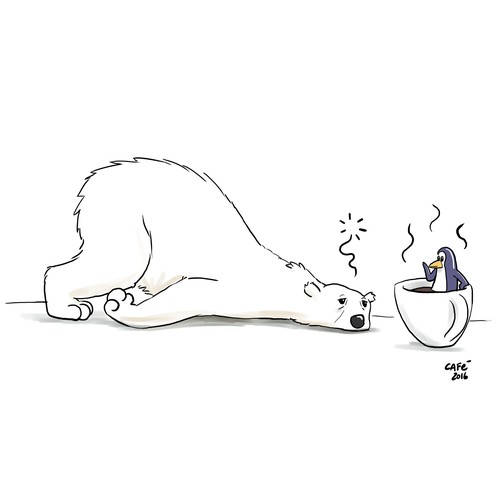 polar bear coffee