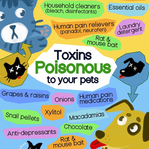 Poster - Toxins in pets