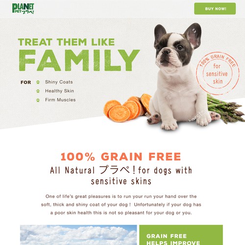 Pet Food Website