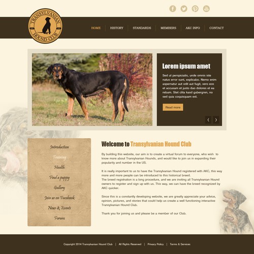 Transylvanian Hound Club - Rare dog breed club needs web design!