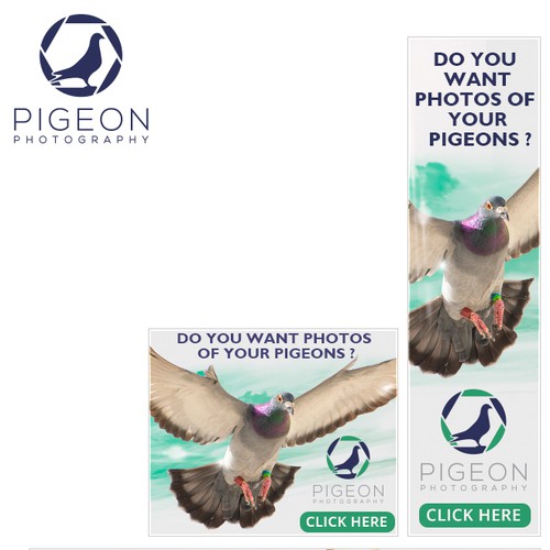 banner ads for PIGEON PHOTOGRAPHY