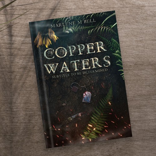 Adventure Book Cover