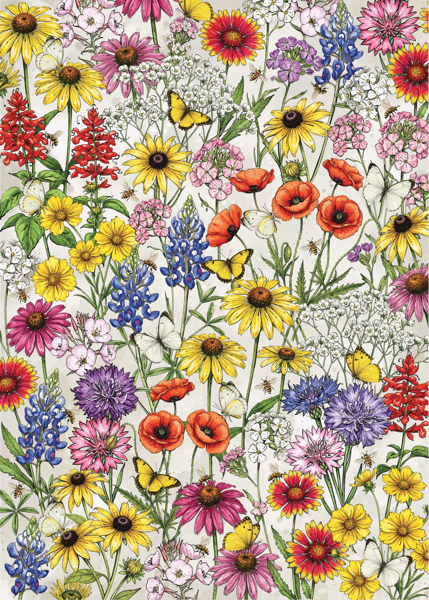 Texas Oklahoma Wildflower Mixture