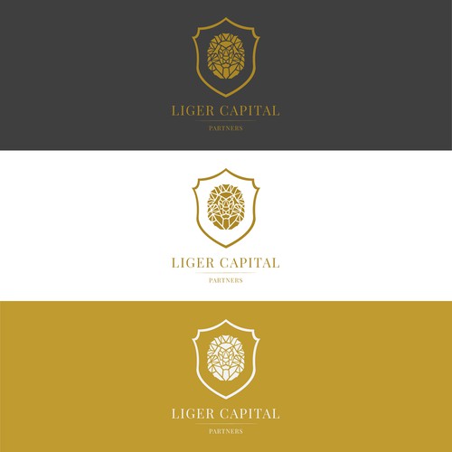 Liger Capital Partners