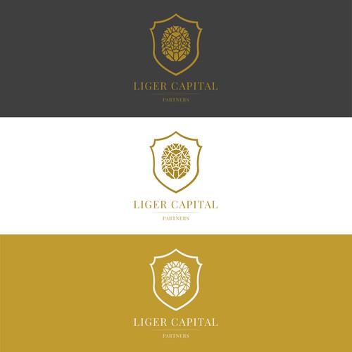 Liger Capital Partners