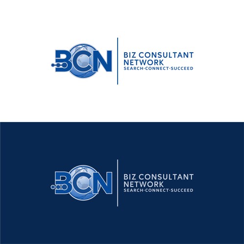 Biz Consultant Network