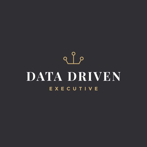 Content Entry | Sophisticated, trustworthy logo for data workshops