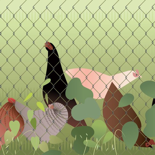 Book illustration
