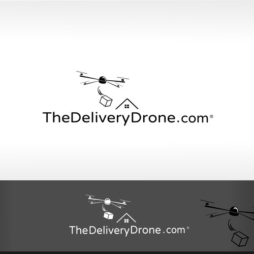 TheDeliveryDrone.com - Business Logo