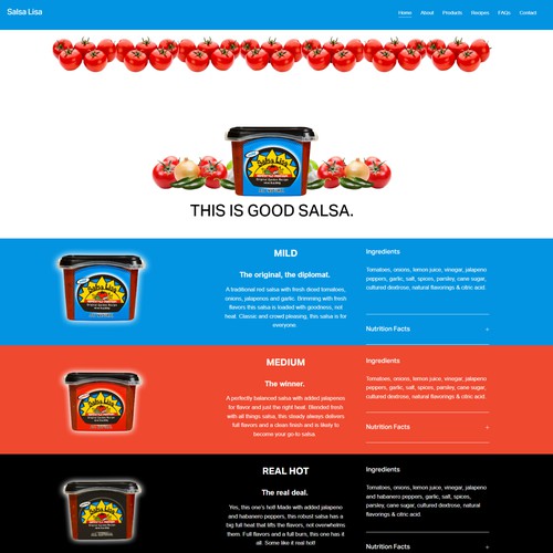 Website for Salsa Food Company