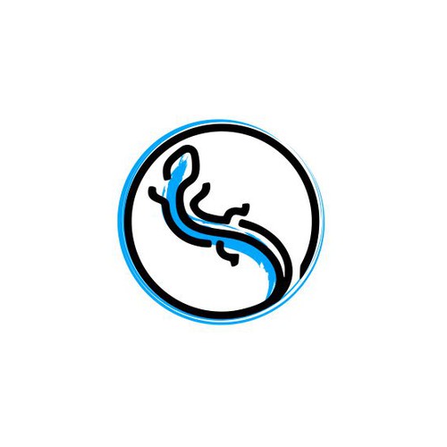 Logo Designs for Barefoot Salamander