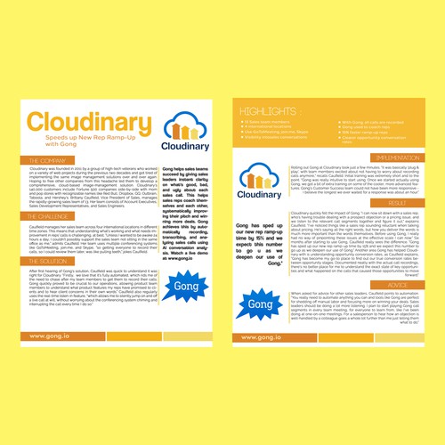 2 page customer case ctudy template for a emerging tech start-up