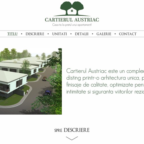 Exquisite Website for Cartierul Austriac (2)