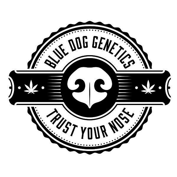 Our boy Blue needs a logo