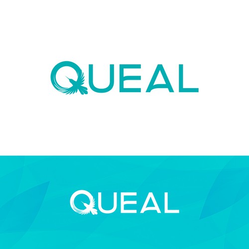 Queal logo design entry