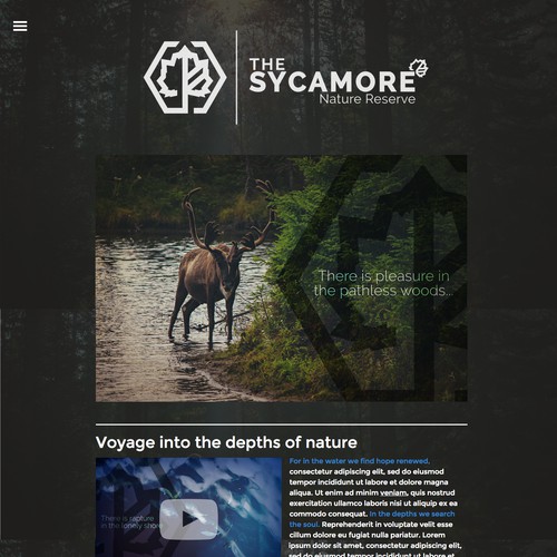 Sycamore Website Concept