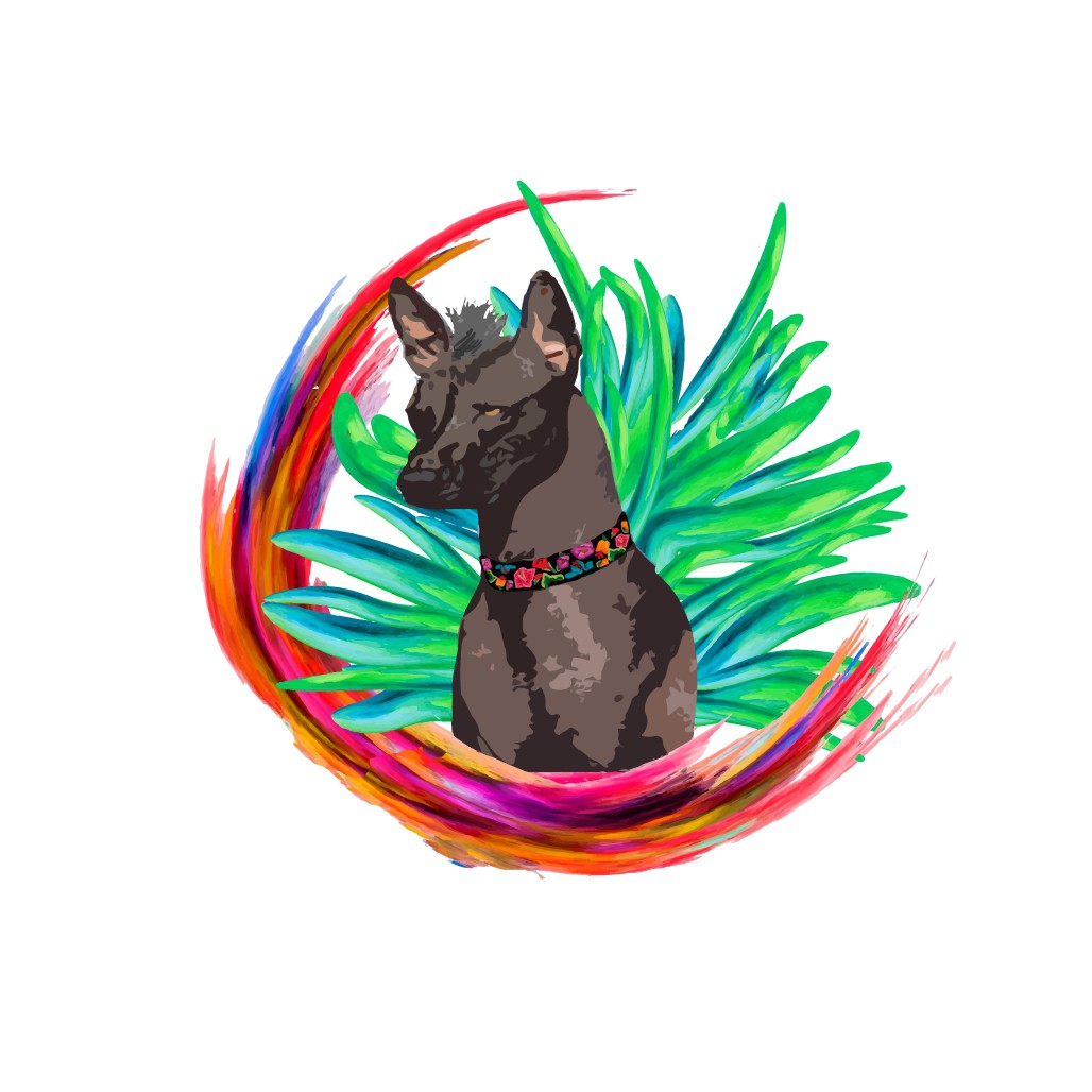 Cool Mexican T-shirt design needed!