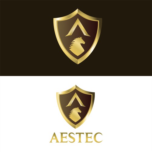 Golden 3D shield Concept for AESTEC