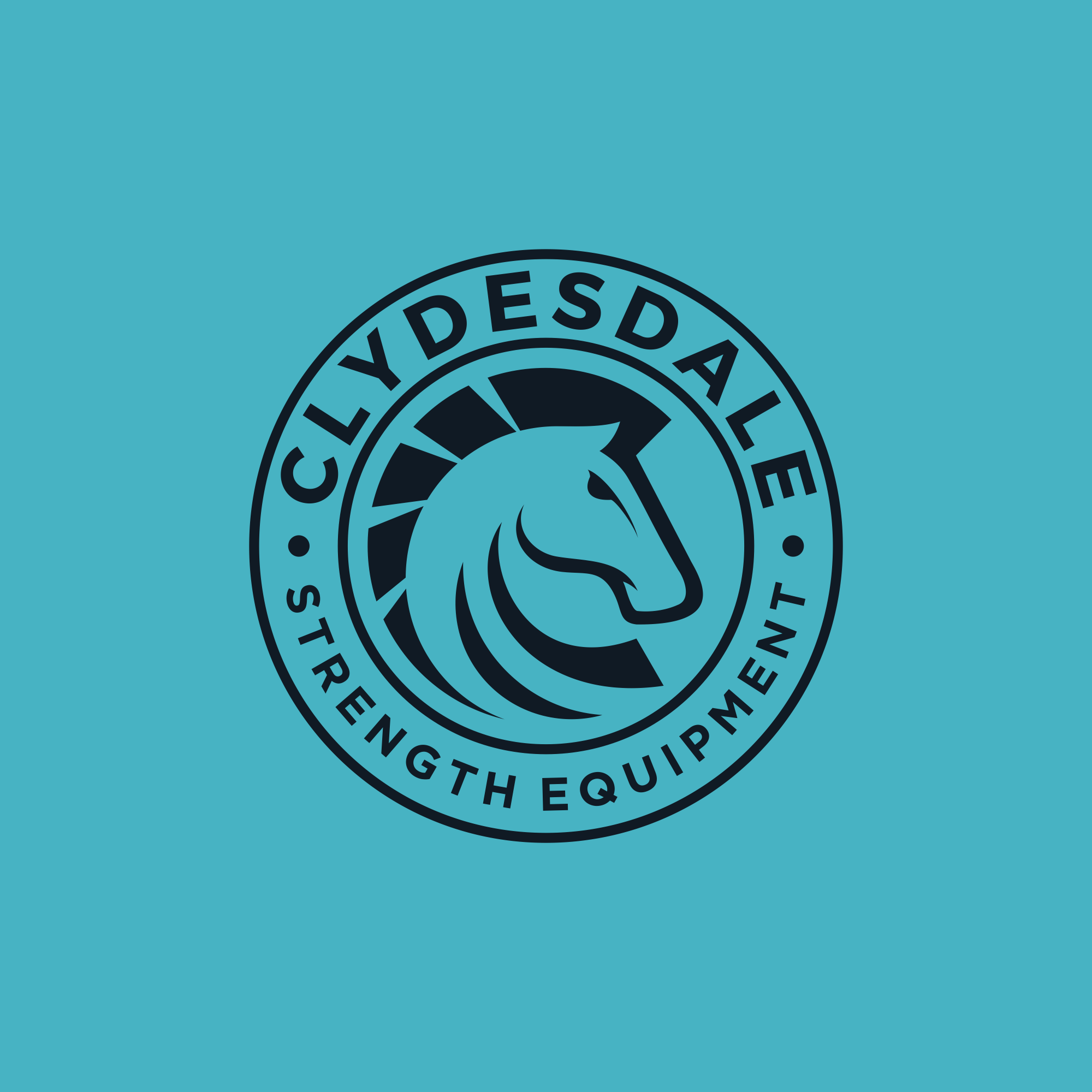 REBRANDING: Clydesdale Strength Equipment, a CrossFit Fitness Equipment Co. needs your help!