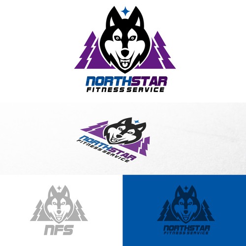 NFS  Northstar Fitness Services needs its first logo for a NEW company!
