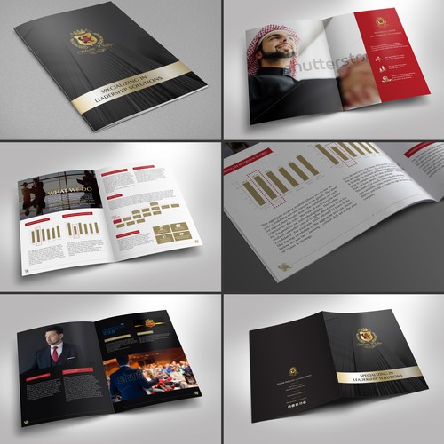 Shane Phillips Exec Brochure - The Best Design of All Time Requested