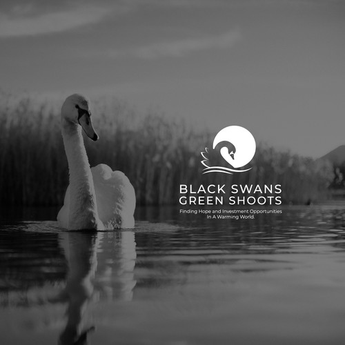 Black Swans