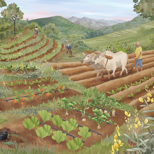 Soil illustration 