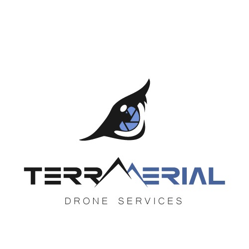 Clean logo concept for drone services company