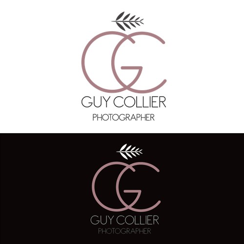 logo concept for a photographer