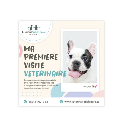 Facebook post templates for Clinique Vétérinaire de la Gare