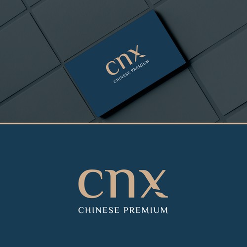 CNX logo 2 