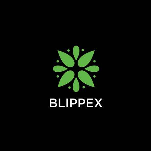Logo and brand guide for BLIPPEX