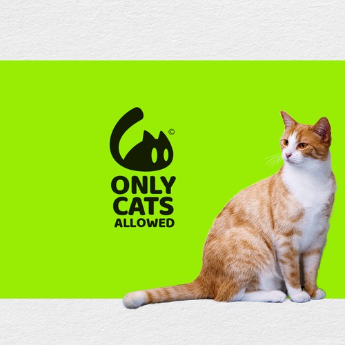 OnlyCatsAllowed