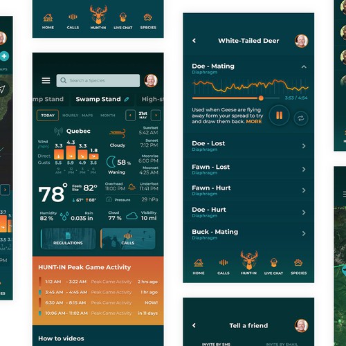 Hunting application UI/UX app design