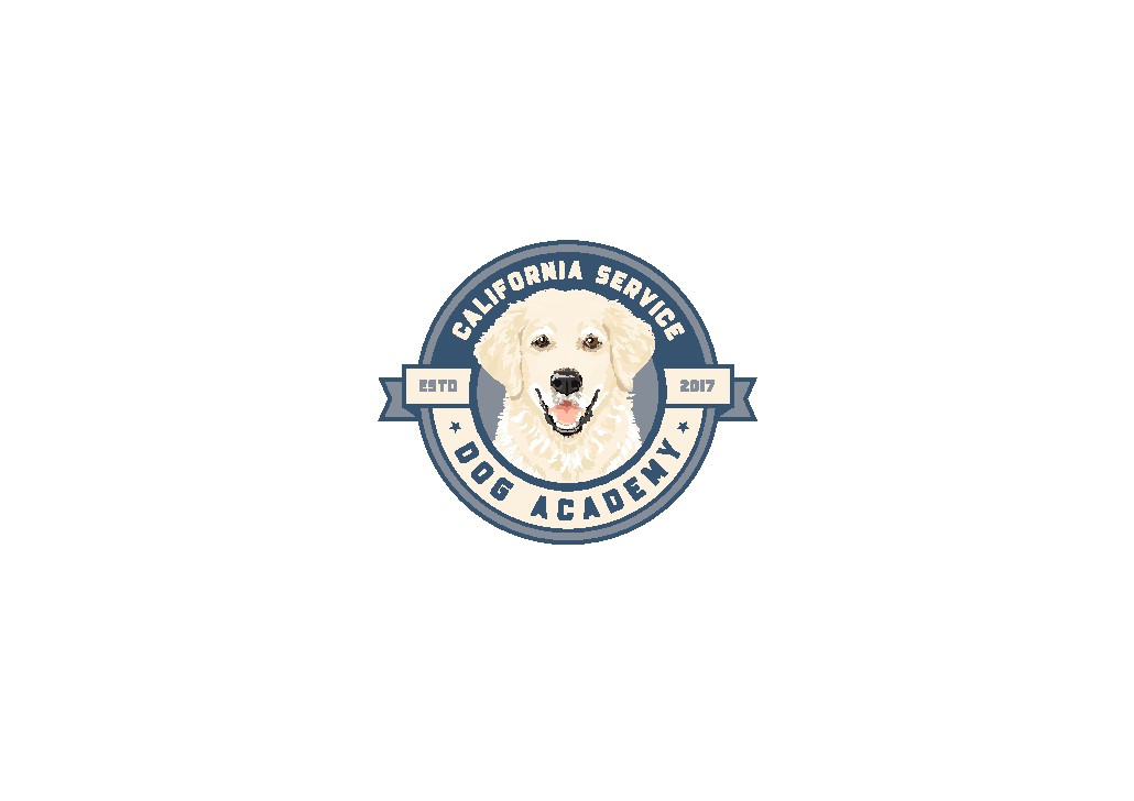 Logo Modification & Branding Guide.