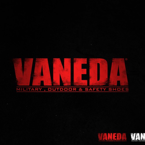 Logo design for Vaneda
