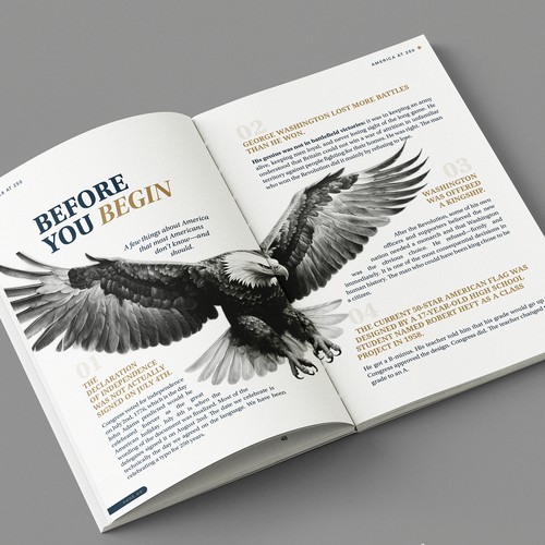 book Interior pages